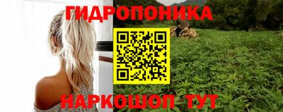 СК Лесосибирск