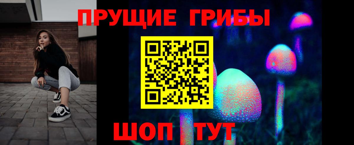 Галлюциногенные грибы прущие грибы Гусиноозёрск