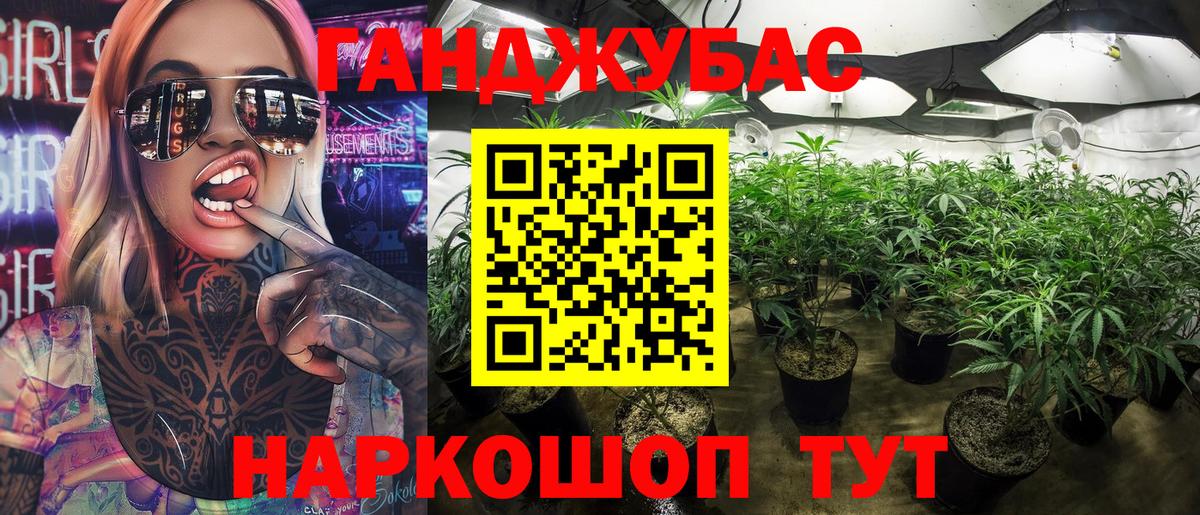 Гусиноозёрск  МАРИХУАНА план  Бошки марихуана Amnesia  Бошки марихуана гибрид  Вход с VPN 
